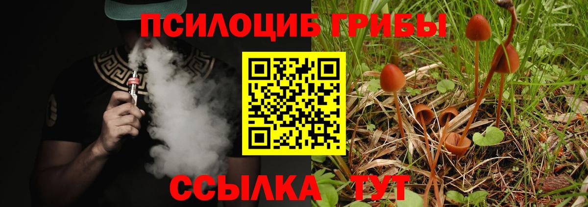 Петропавловск-Камчатский  как найти наркотики  Вход с VPN  Галлюциногенные грибы GOLDEN TEACHER  Галлюциногенные грибы Psilocybine cubensis 