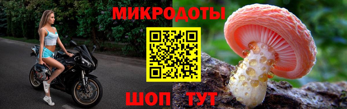 Галлюциногенные грибы Cubensis Петропавловск-Камчатский