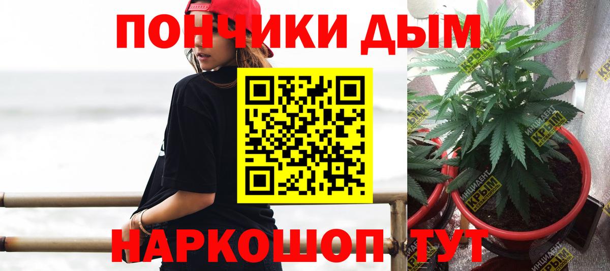Бошки Шишки Amnesia Петропавловск-Камчатский